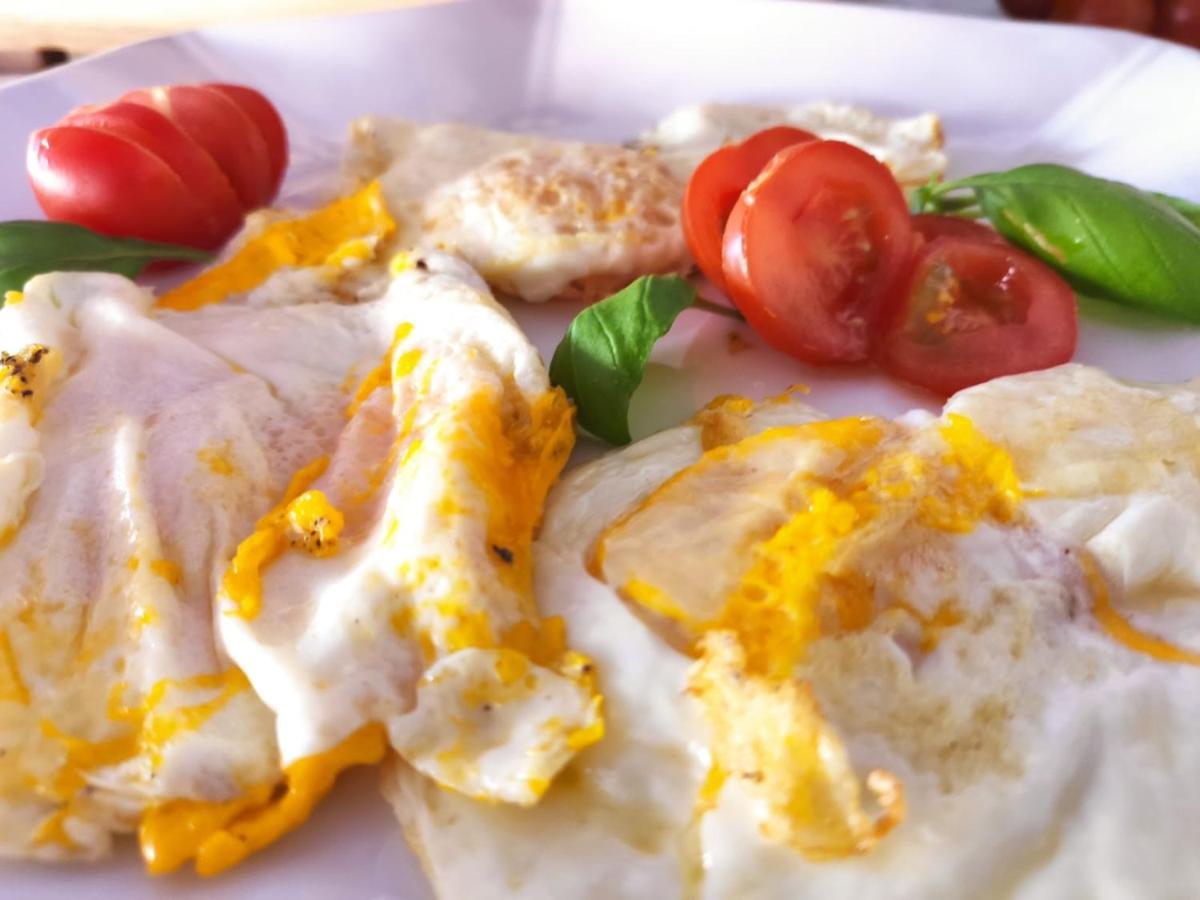 Hotel Senior Cattolica Ngoại thất bức ảnh